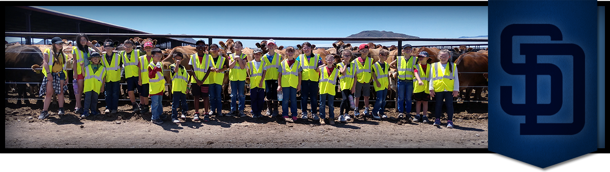 Students wearing safety vests pose outside with cows